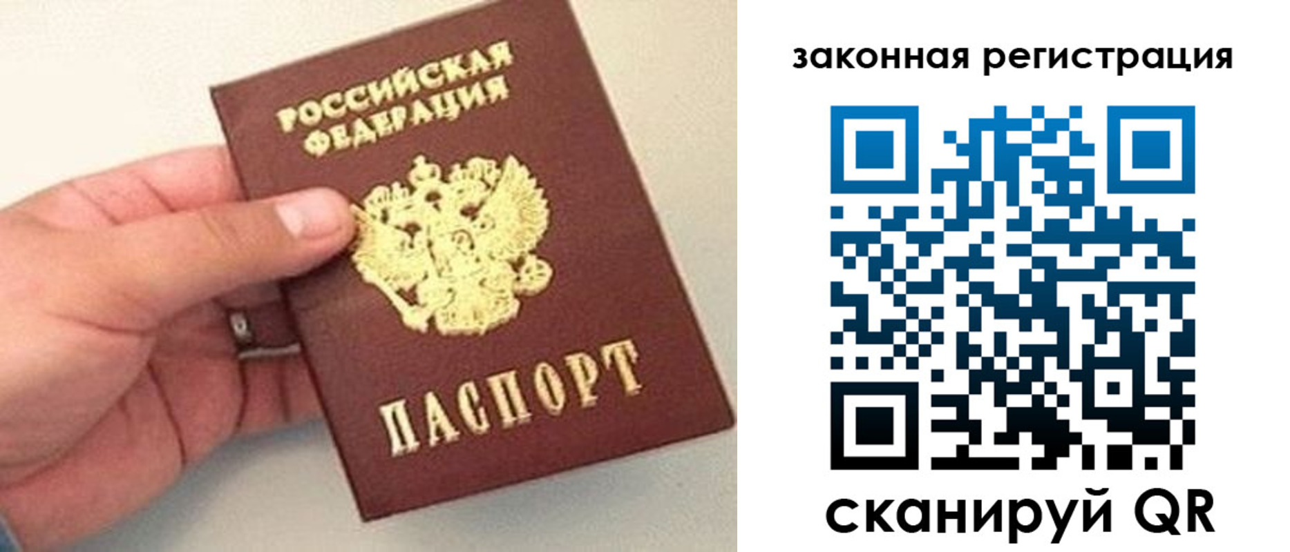 прописка для школы в Юрьев-Польском